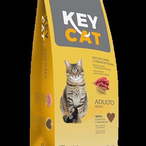 PIENSO KEYCAT